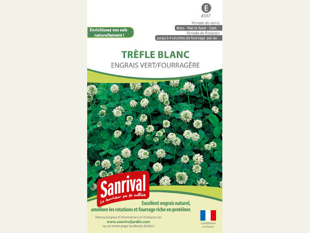 Sachet De Graines De Trèfle Blanc 