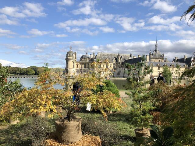 Le Château de Chantilly comme toile de fond