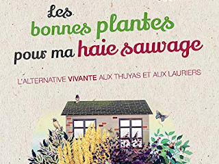 Les bonnes plantes pour ma haie sauvage