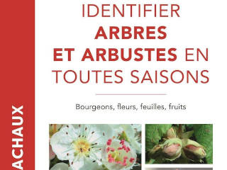 Identifier arbres et arbustes en toutes saisons