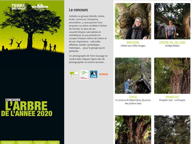 Arbre de l'année 2020 - site web