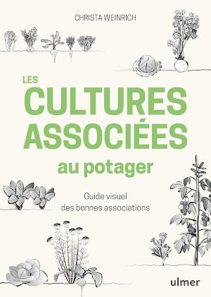 Les cultures associées au potager