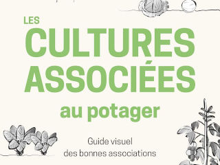 Les cultures associées au potager
