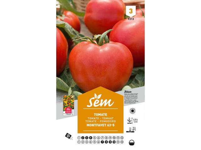 Tomate Montfavet H 63/5 Hyb.F1 -graines De Les Doigts Verts - Grain