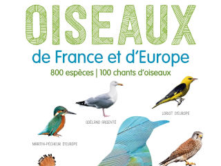 OISEAUX DE FRANCE ET D'EUROPE 