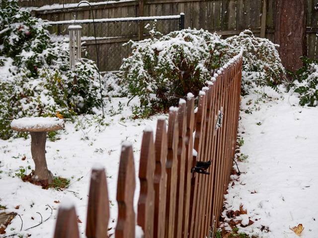 Pelouse et jardin sous la neige