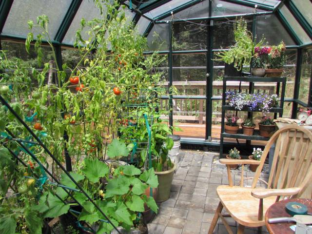 Serre incl fondation jardin serre serre à tomates châssis-plantiflex ® 