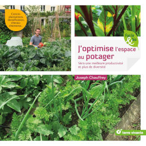 J'optimise l'espace au potager