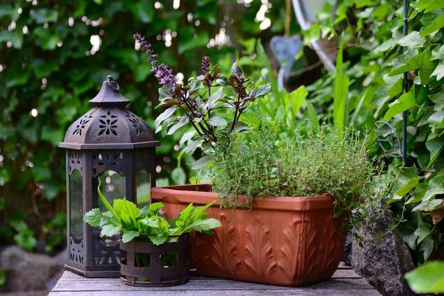 Balconnière d'aromatiques