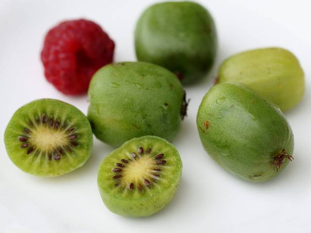Kiwaï (variété verte) : échelle des fruits avec une framboise
