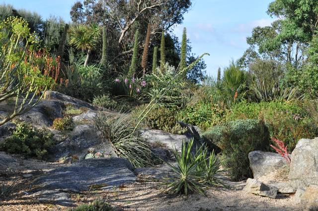 Jardin exotique et botanique de Roscoff