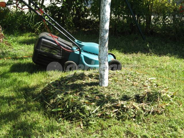 Que faire avec l'herbe coupée après la tonte - Paroles de jardiniers