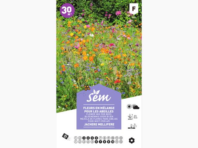 Jachère mellifère : fleurs en mélange pour les abeilles