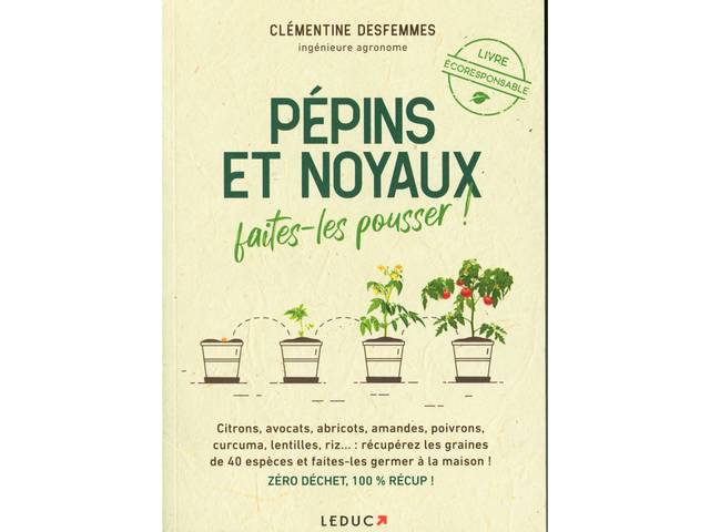 Pépins et noyaux : couverture