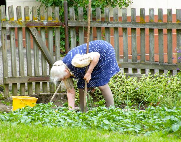 Les seniors et le jardinage : mode d'emploi