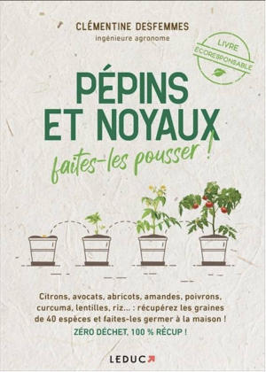 Pépins et noyaux, faites-les pousser !