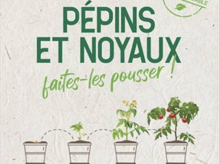 Pépins et noyaux, faites-les pousser !