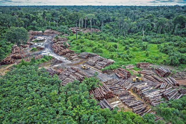 Déboisement illégal dans la forêt amazonienne