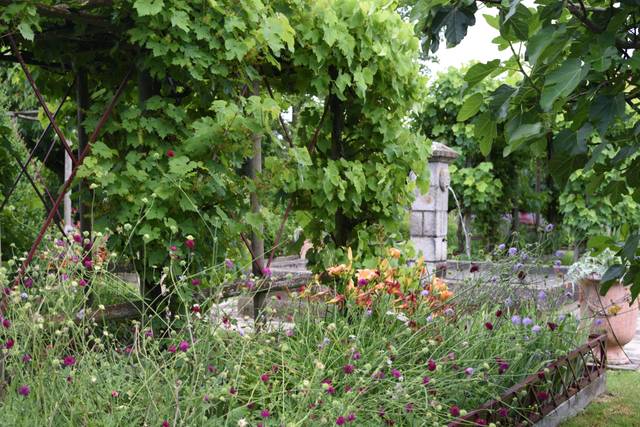 Jardin de Riparfonds (79)