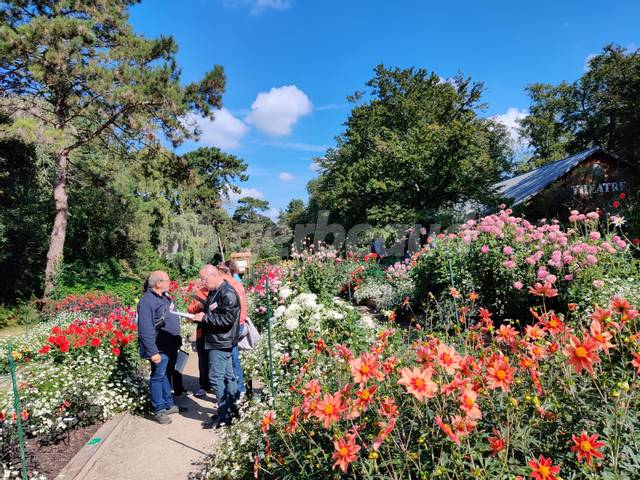 Le jury dahlias en pleine notation au Parc Floral de Paris
