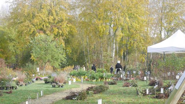 Fête des rosiers d'automne de Doué la Fontaine