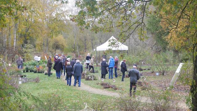 Fête des rosiers d'automne de Doué la Fontaine