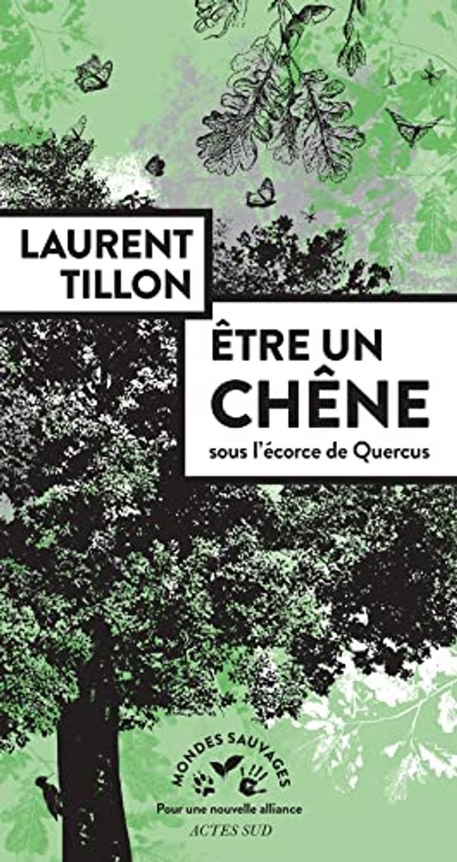 Etre un chêne