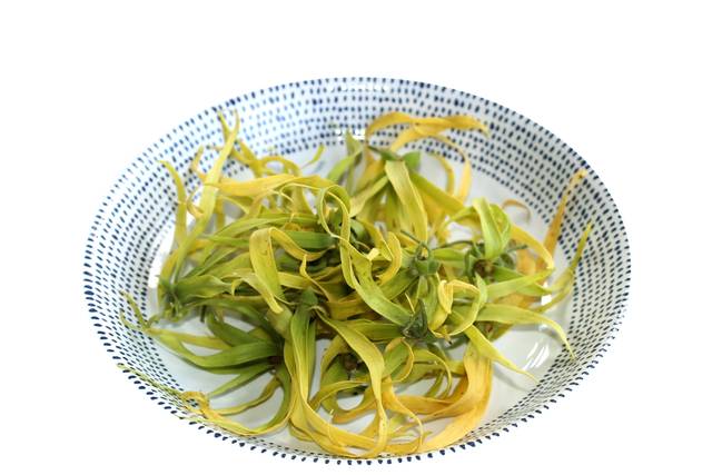 Récolte de fleurs d'ylang-ylang