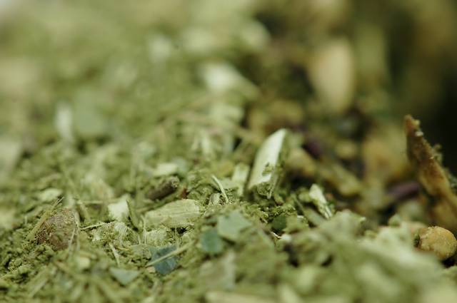 Feuilles de maté séchées et broyées pour infusion