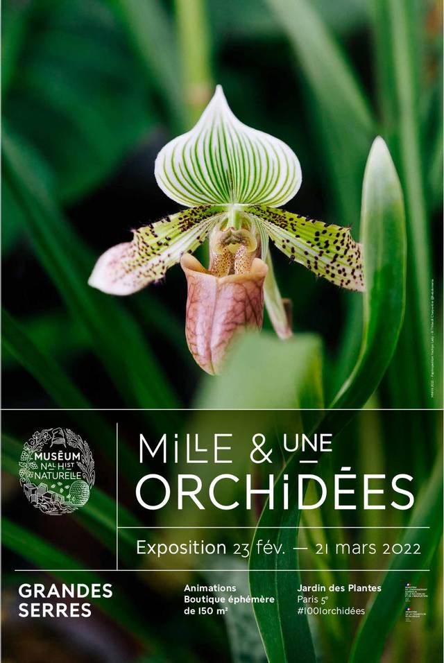 Mille et une orchidées - éd. 2022