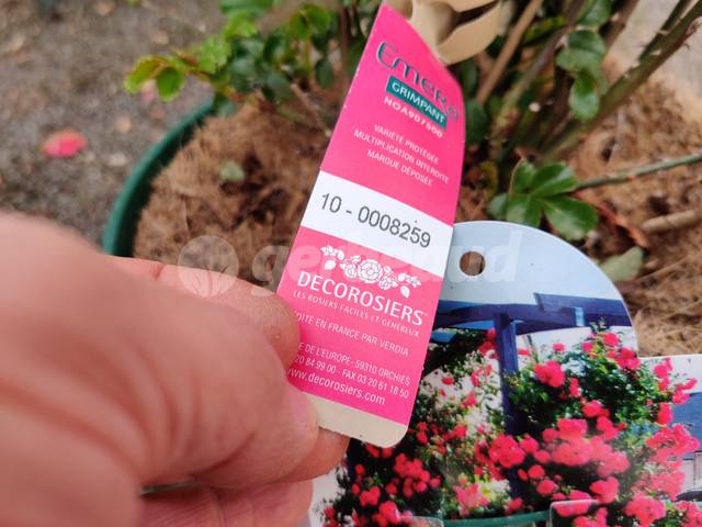 Décorosiers® : numéro unique sur l'étiquette