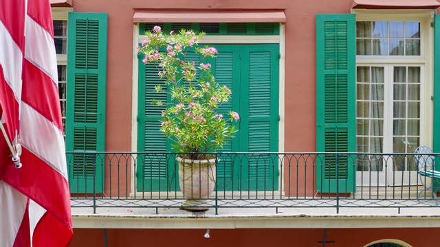 Laurier rose en pot sur un balcon