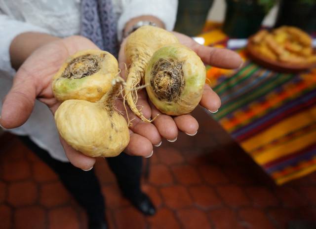 Quelles plantes sont aphrodisiaques ?