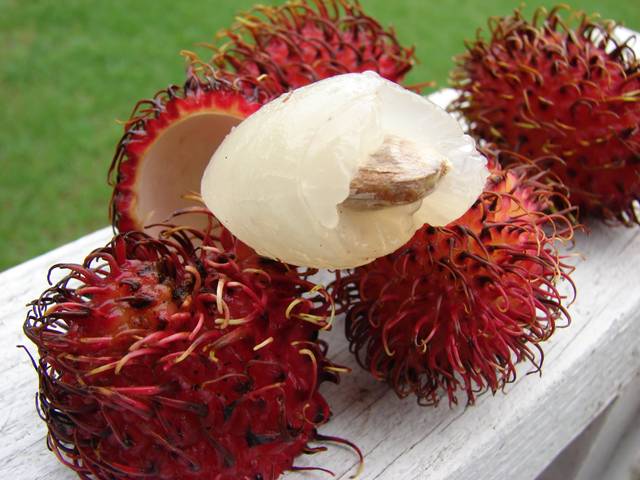 Ramboutan : fruit, chair et noyau