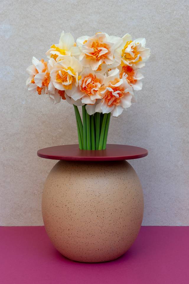 Bouquet de narcisses doubles