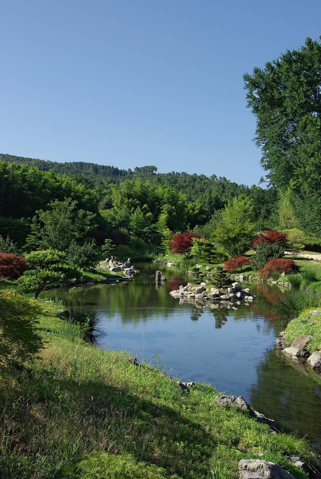 Site de la bambouseraie d'Anduze - étang