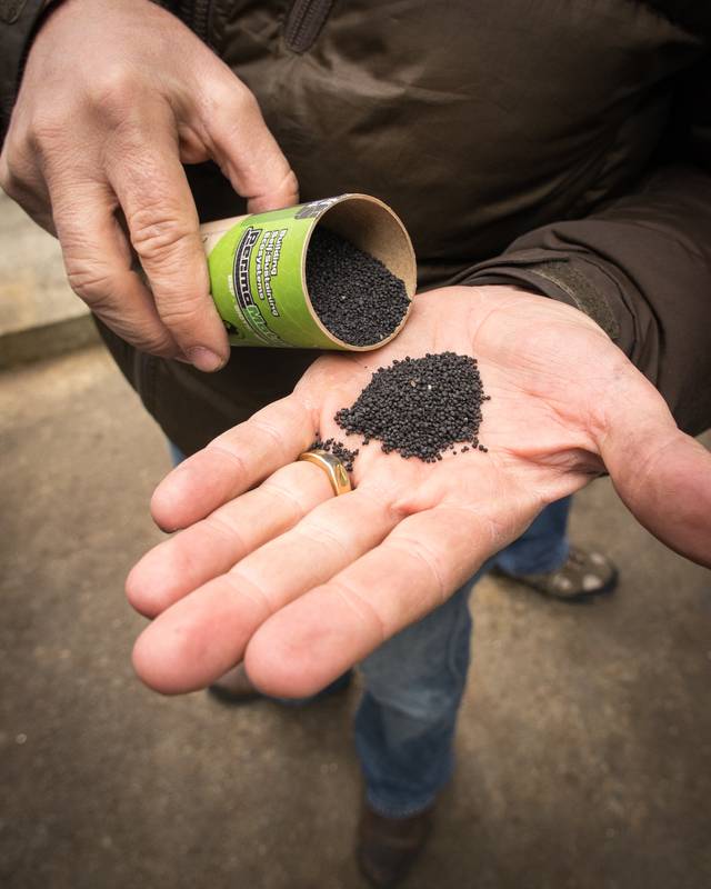 Biochar composition, utilisation, avantages