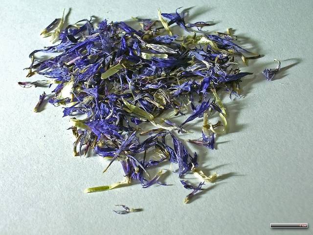 Fleurs de bleuet séchées