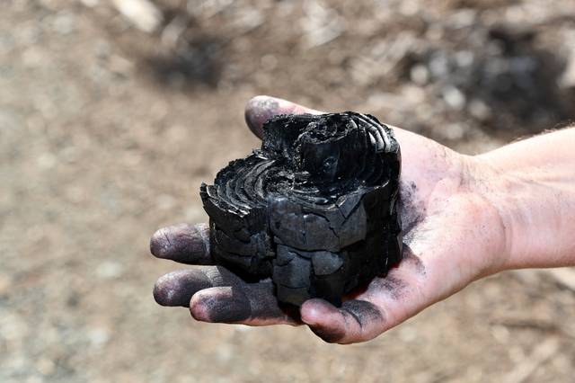Bois pyrolysé : biochar