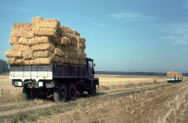 Sécheresse en Bourgogne : livraison de paille aux éleveurs