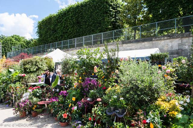 Jardins, Jardin 2019