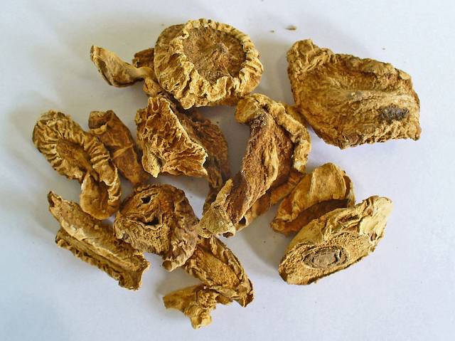 Tubercules racinaires d'harpagophytum tranchés et séchés