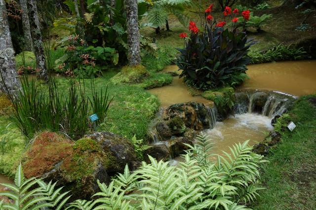 Jardin botanique de Terra Nostra (Portugal)