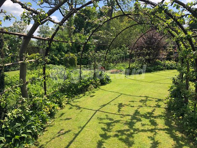 Jardin du Plessis Sasnières, Jardin Remarquable - Clémentine Desfemmes