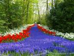 16 beaux jardins d'Europe