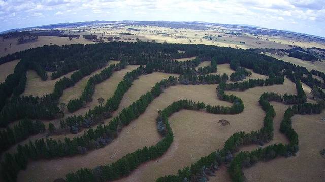 Agroforesterie en Australie (haies)
