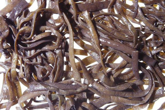 Himanthalia elongata, spaghetti de mer