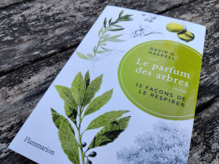 Le parfum des arbres