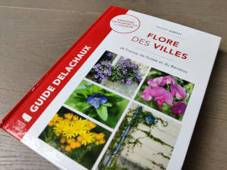 Flore des villes