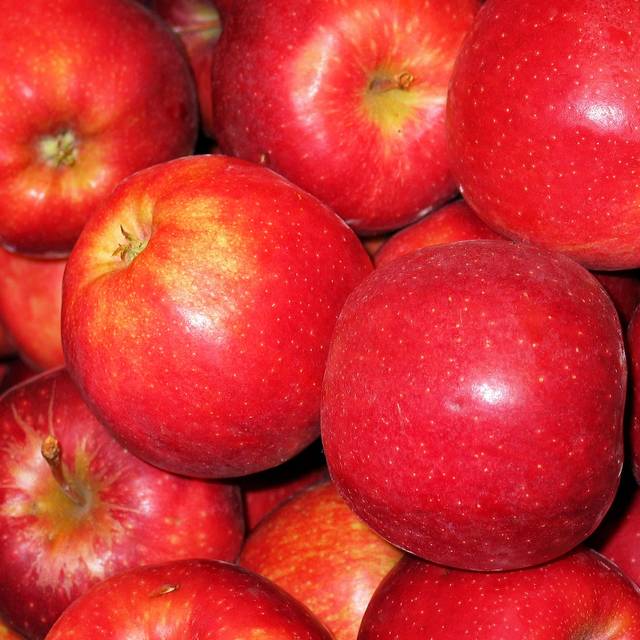 Pomme 'Royal Gala'